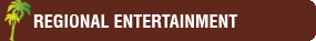 Regional Entertainment Channels Subscription